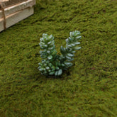 Artificial Succulent (Type 5)